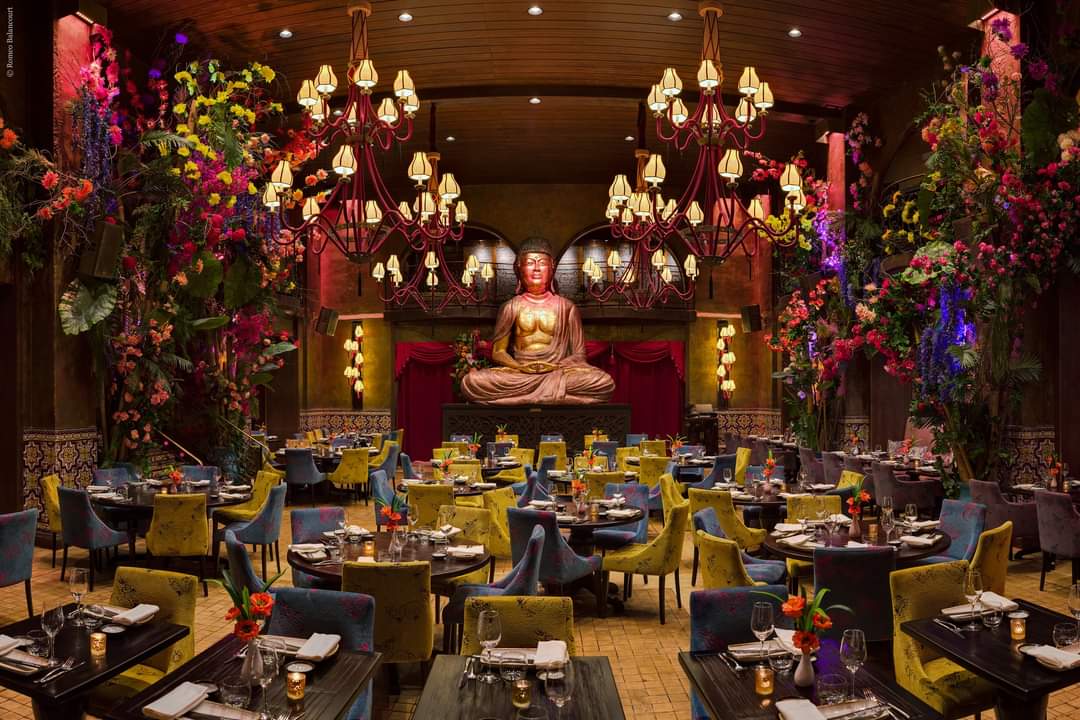 francevisiting's tweet photo. https://t.co/c0UKB5nWb1
Just step into the #oriental & #lounge atmosphere in the @BuddhaBarParis, often sounded with the unique #playlist from #DJRavin or bring back one #musiccompilation by #ClaudeChalle 🎑
#BuddhaBar #LoungeBar #CocktailBar #ParisBar #GoldenTriangle #Buddha https://t.co/hmG9LDpYJy