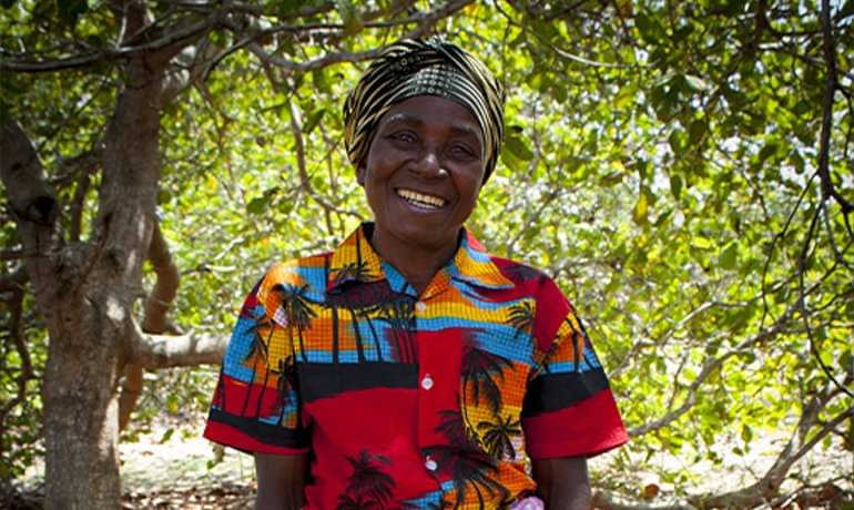 GIZ/MOVE-ComCashew, sous l'Action "Facilité d'Appui aux Entreprises pour des CVA Résilientes ", a lancé l'appel de Notes Conceptuelles de son #Fonds de Contrepartie pour le #Cajou.

Pour postuler ⏬
comcashew.org/fr/matching-gr…

#ComCashew #Africa #Benin #wasexo #Cashew #EuropeanUnion