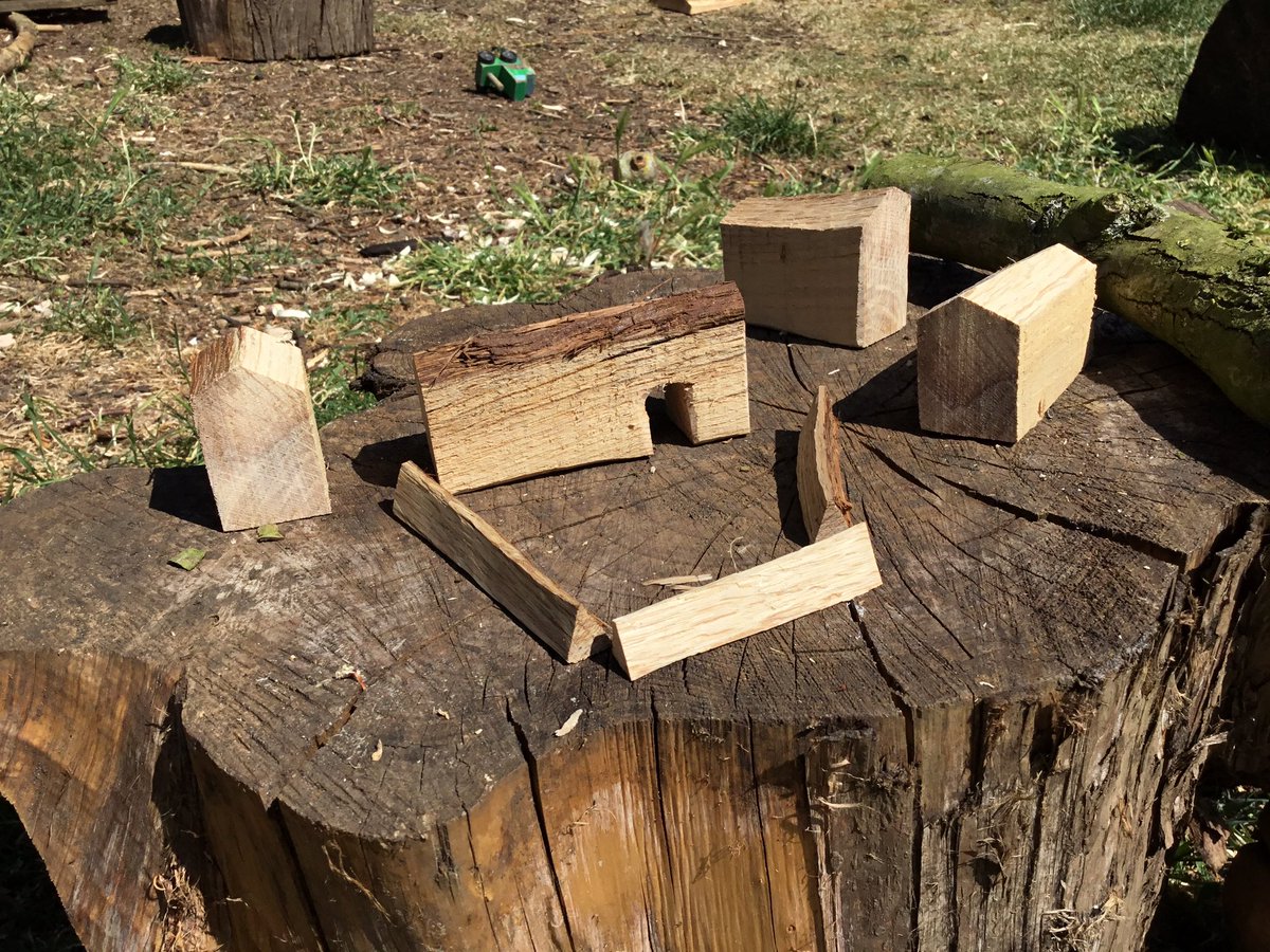 snap_forest's tweet photo. Number 3. Making a mini Oak town https://t.co/XLEZJUv65g