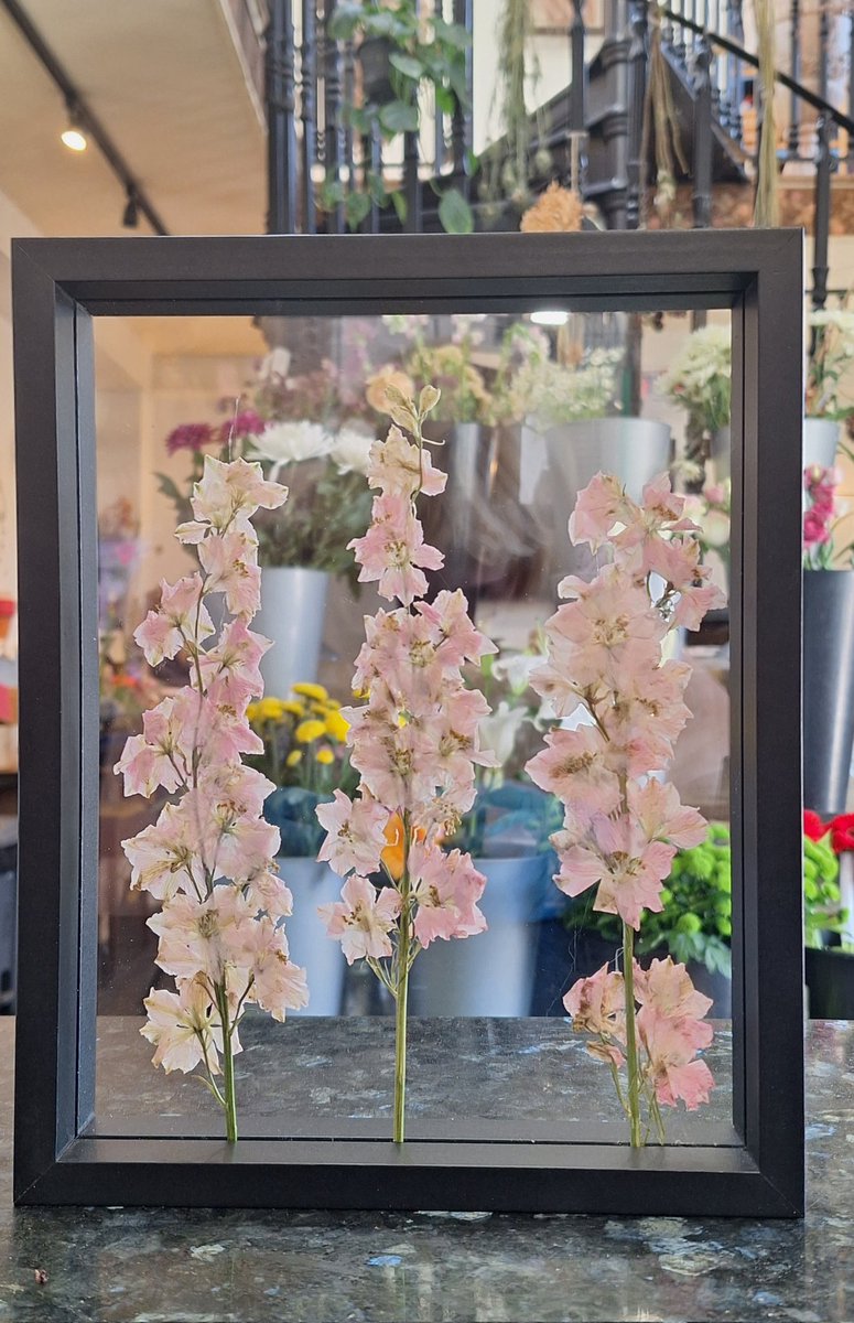 wlhaydock's tweet photo. Transparent pressed flower frames available #Palmerstown #Dublin #localflorists https://t.co/KG1cOPOdAW