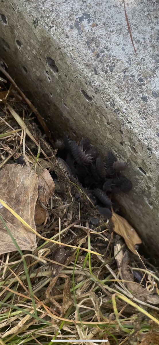 Ms Ruane’s Class tweet media