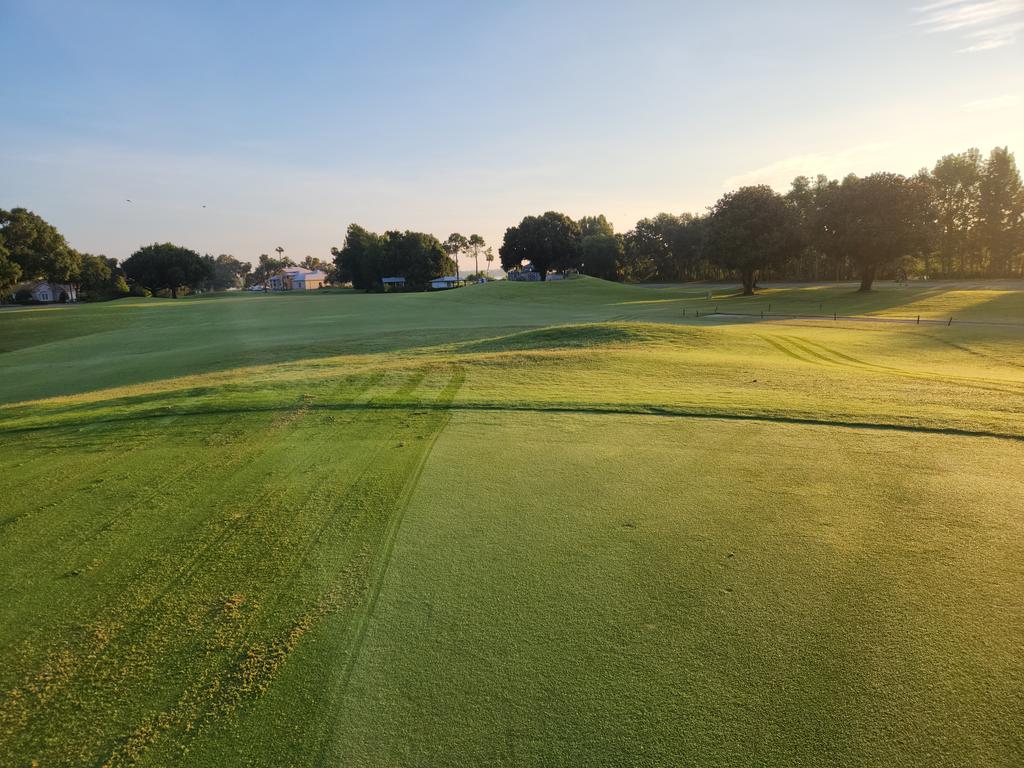 The view since 4:30 this morning,  #officeviews #verticut