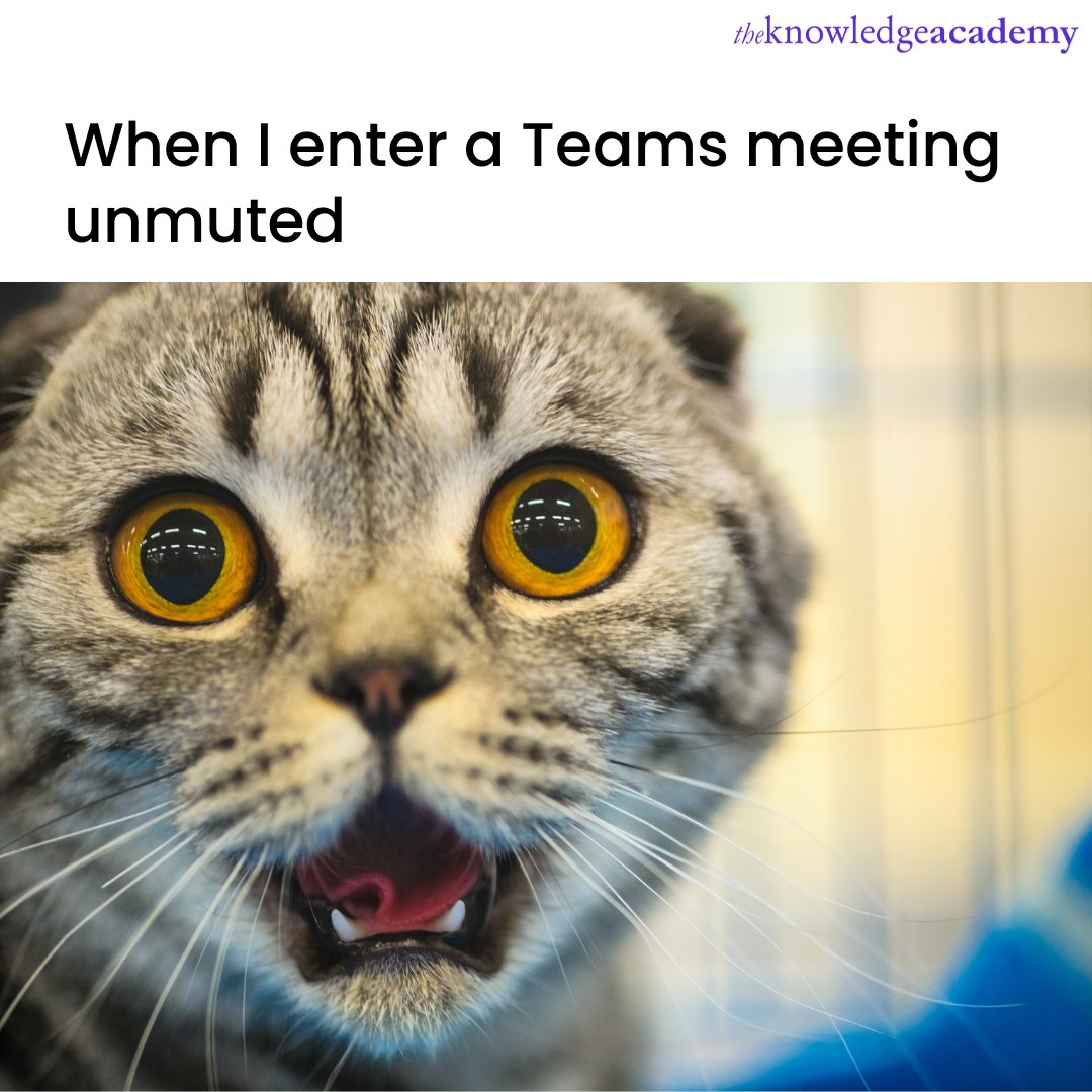 TKA_Training's tweet photo. The closest thing you can have to a jump scare on Microsoft Teams.
#meme #microsoftteams #teams #job #training #course #office #work #worklife #certification #instagram #time #theknowledgeacademy #tka https://t.co/ZcXklzAO61