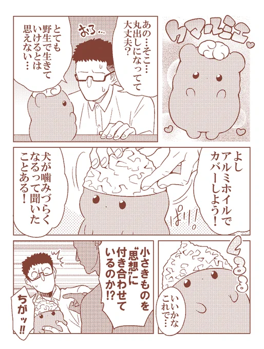 丸見え守るよ♡クマルミエ