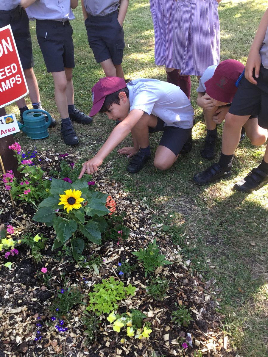 AshfoldSport tweet media