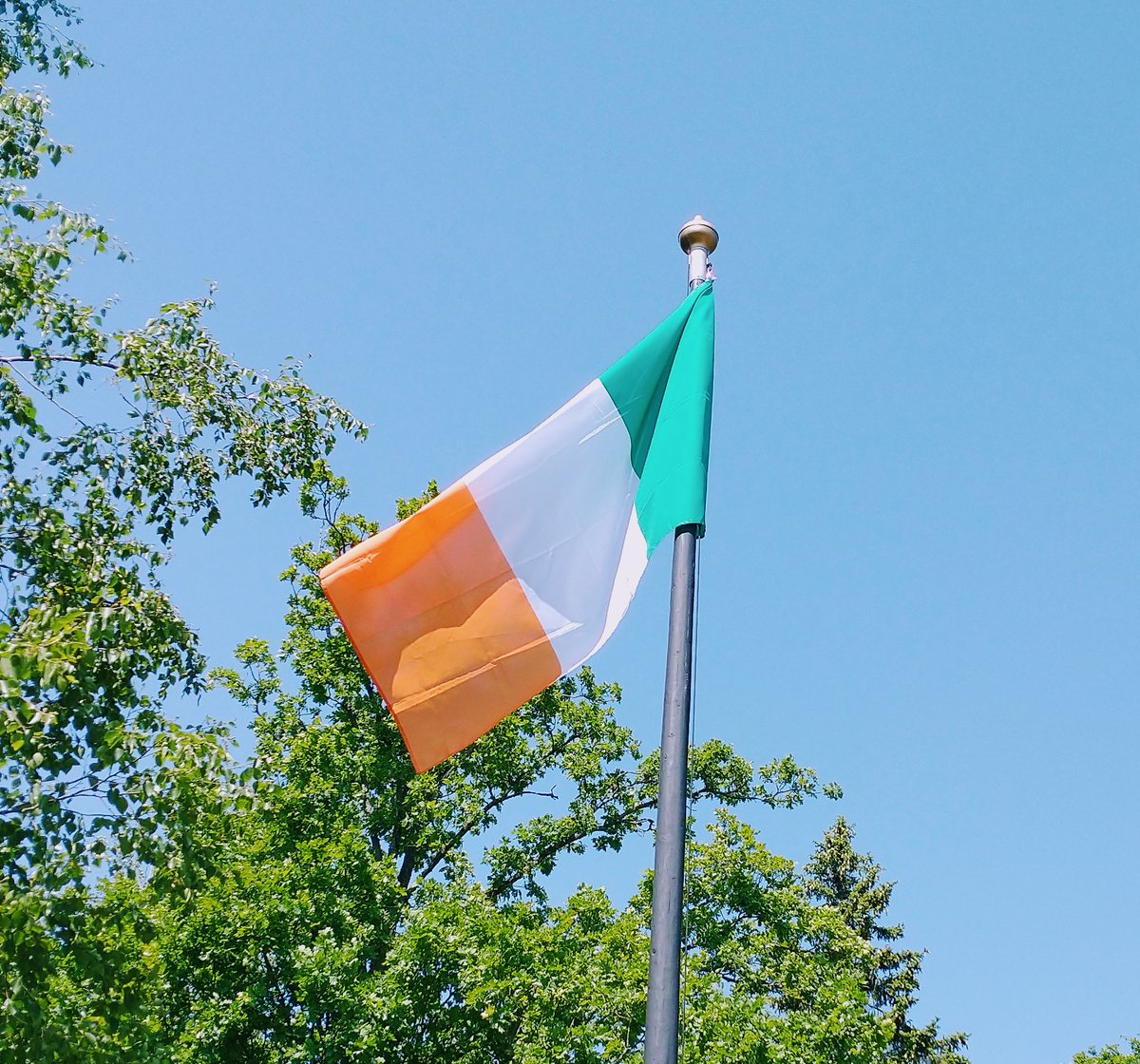 JohanGJohansson's tweet image. Dagens flagga:

Idag för 28 år sedan dog Rory Gallagher - den enda gitarrhjälten man behöver.
💔🎶💔
#nånblirsäkertkränkt
#funwithflags
#toomuchalcohol