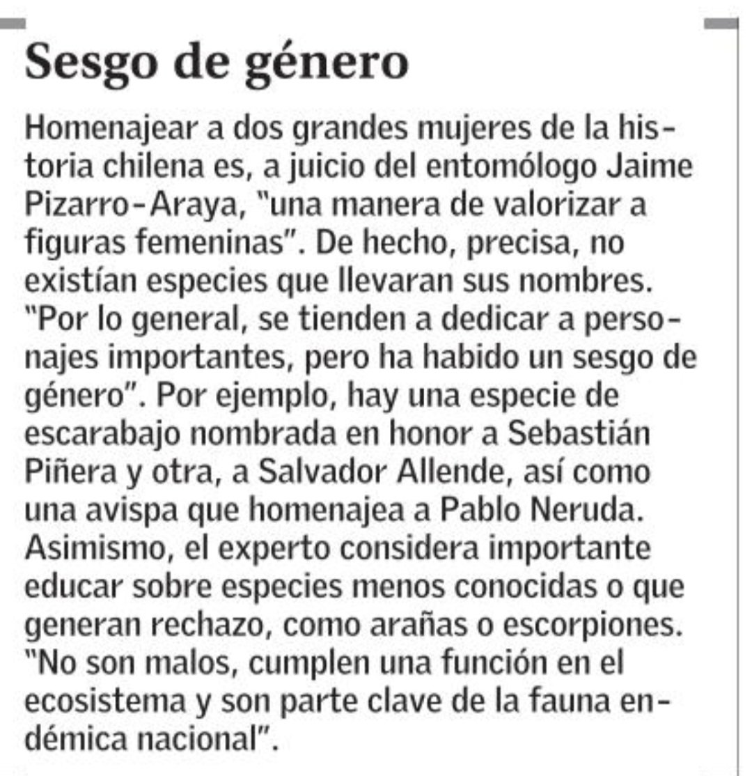 Delecuna's tweet photo. ¿Qué diría la suegra de Juan Vedaguer si le mostrara esta noticia y le dijera "Mire, un insecto podría llamarse Guillermo Muñoz?
Tal vez respondería "No. Dos insectos con el mismo nombre, no" https://t.co/2nVH6L0V3U