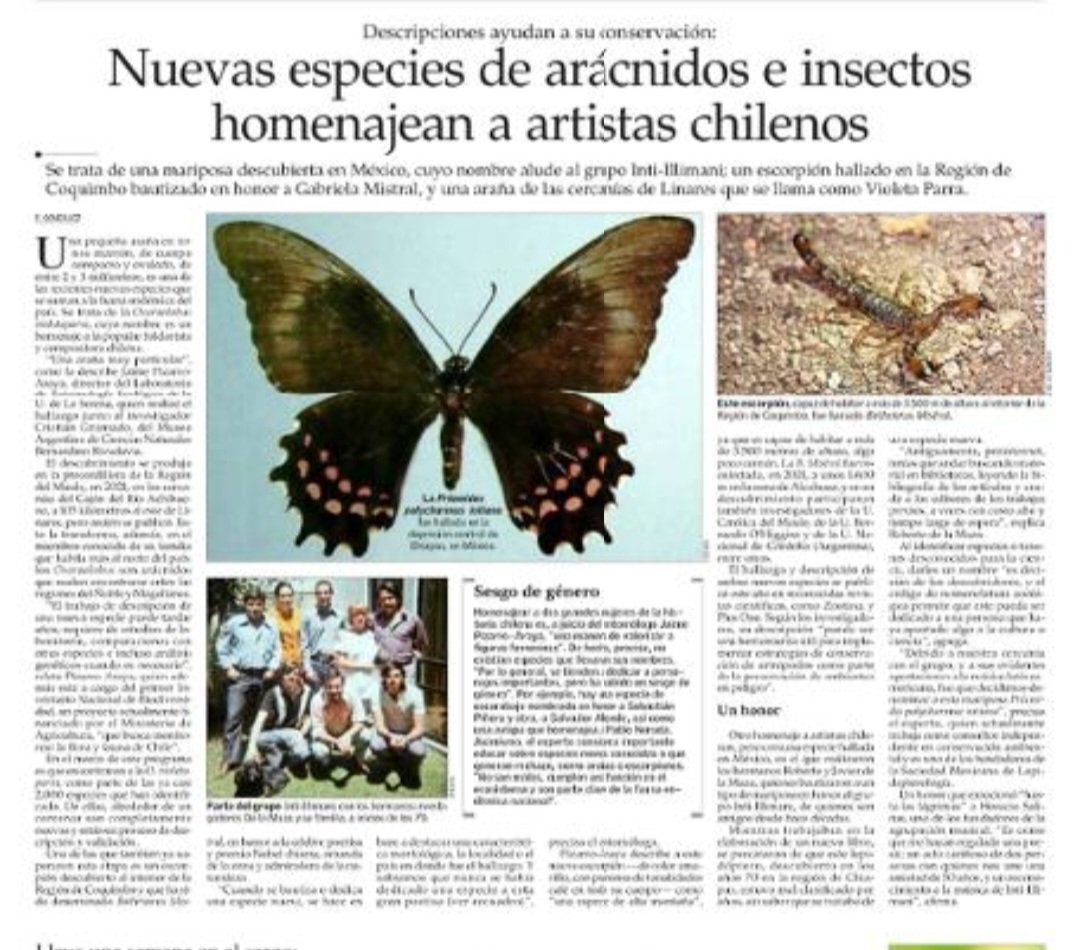 Delecuna's tweet photo. ¿Qué diría la suegra de Juan Vedaguer si le mostrara esta noticia y le dijera "Mire, un insecto podría llamarse Guillermo Muñoz?
Tal vez respondería "No. Dos insectos con el mismo nombre, no" https://t.co/2nVH6L0V3U