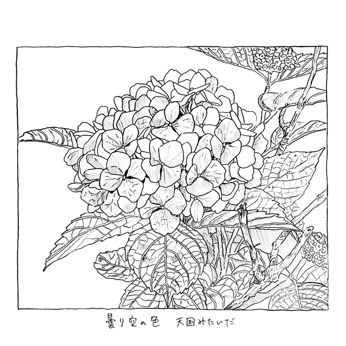 曇り空の色 天国みたいだ