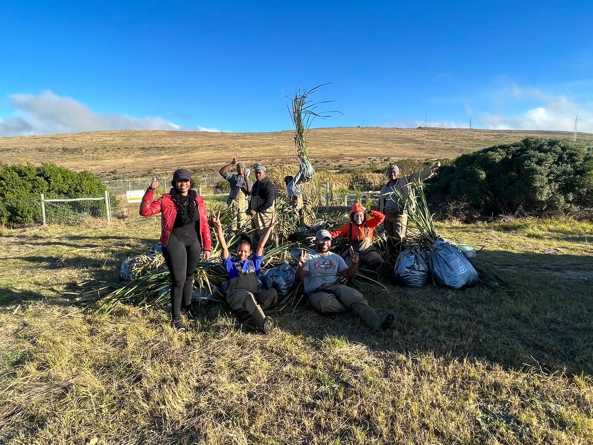 Final plant harvest of the #restoration project! Without this amazing team it wouldn’t have been possible!!! What a pleasure to work with you guys! @RhodesUniCBC @RhodesResearch @Rhodes_Uni