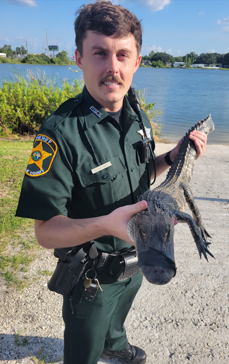 PolkCoSheriff's tweet photo. Deputy Sheriff Bujnovsky poses with a suspicious character who was lurking under the car of an employee at Borem Fire Protection in Lakeland on Tuesday. During questioning, it didn't want to speak with deputies--probably had something to do with having its mouth taped shut (don't worry, when done correctly the tape comes off easily in the water). It was then released in a nearby lake. 

#PCSO  
#ItIsAFloridaLongFrog  
#OrAReallyLargeAnoleLizard