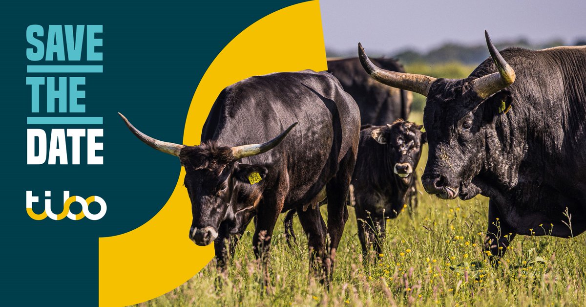 📅 12 juli
🕒 vanaf 15.00 uur
🐂 bij Stichting Taurus

Noteer alvast in je agenda: 𝙙𝙚 𝙫𝙖𝙠𝙖𝙣𝙩𝙞𝙚𝙗𝙤𝙧𝙧𝙚𝙡 in Keent!