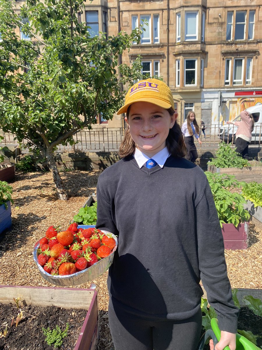 MsWallis1's tweet photo. Pure sunshine. 🍓🍓🍓@Paisley_Grammar https://t.co/kHAwmOlX1F