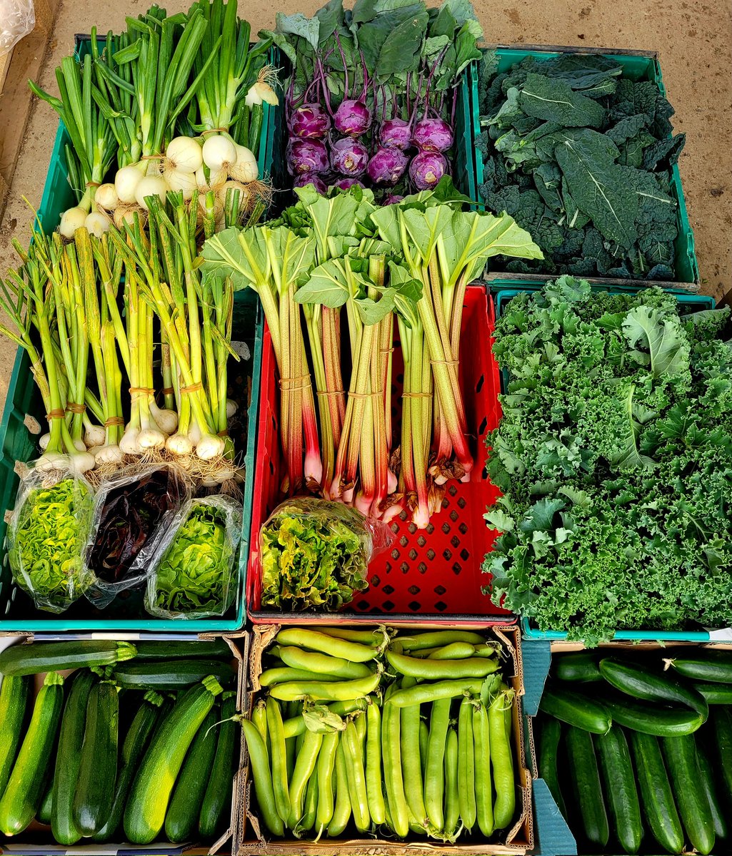 First of the new season vegetables today. #ballincareyfarm