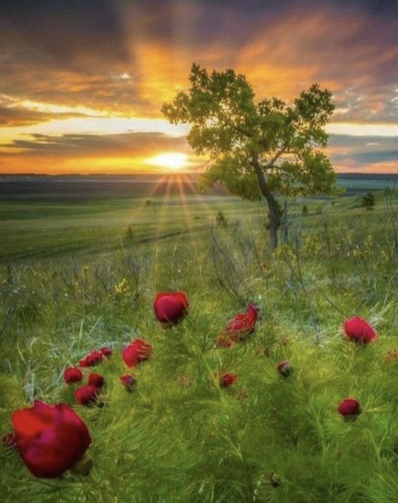 Good Morning! ♥️♥️♥️