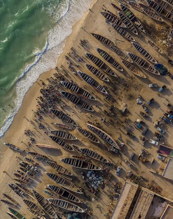 GM Habibees 🧡

Fishing boats on the Atlantic coast of Nouakchott, Mauritania 🇲🇷 

#NFTCommunity #Web3