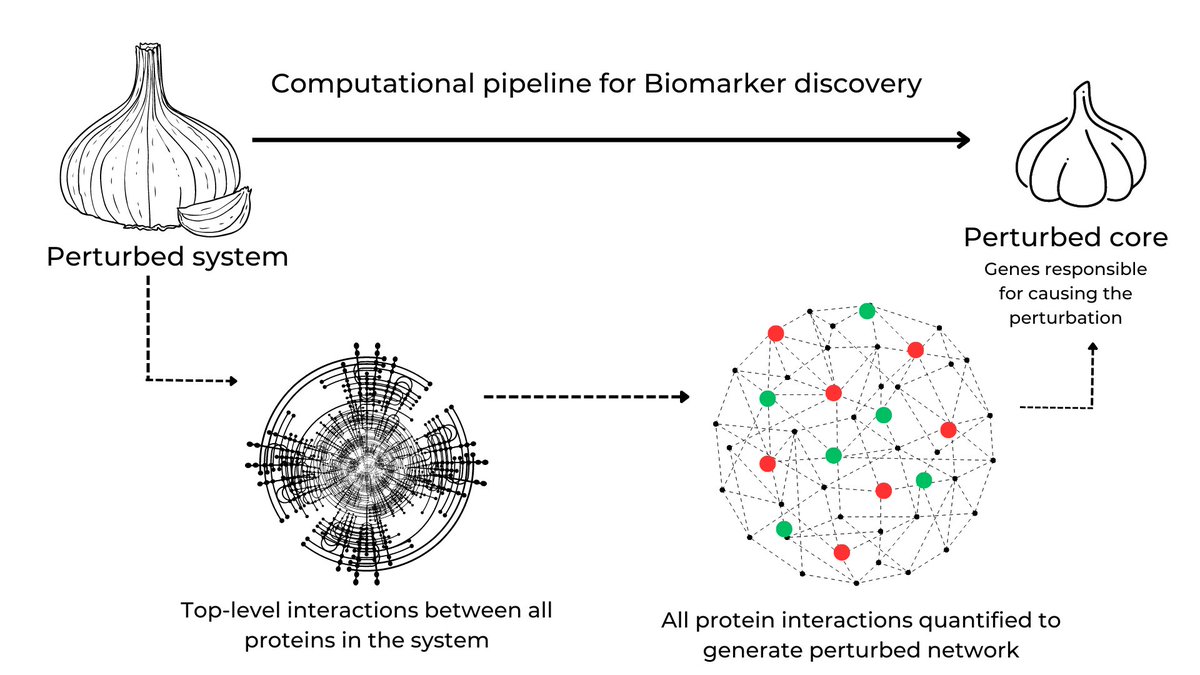 I wish we could use more analogy-based #scicomm illustrations in technical reports as well. #systemsbiology #computationalbiology #networkbiology #scienceillustration