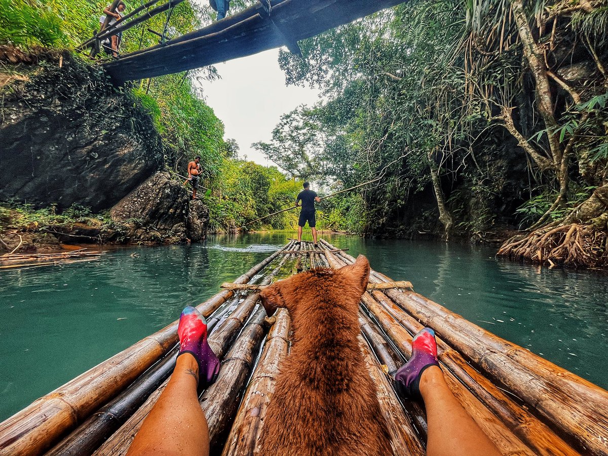 worldofclarity's tweet photo. Living life on the edge,
Adventuring with my friends in the jungle!
#XEN #Philippines #BeartheDog https://t.co/2xNqui4c6Z