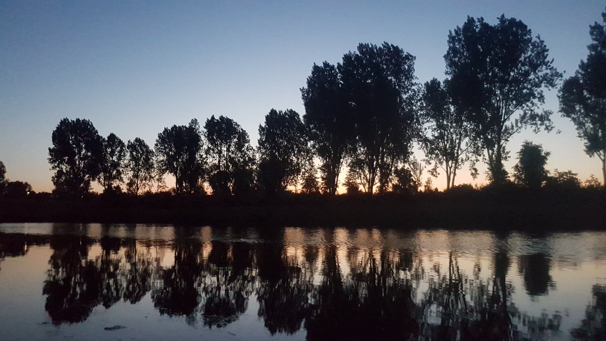 De laatste dwergvleermuizen jagen nog boven de vaart op muggen en vliegen. Nog even en ook deze vleermuizen gaan naar huis: een spouwmuur ergens in een woonwijk.