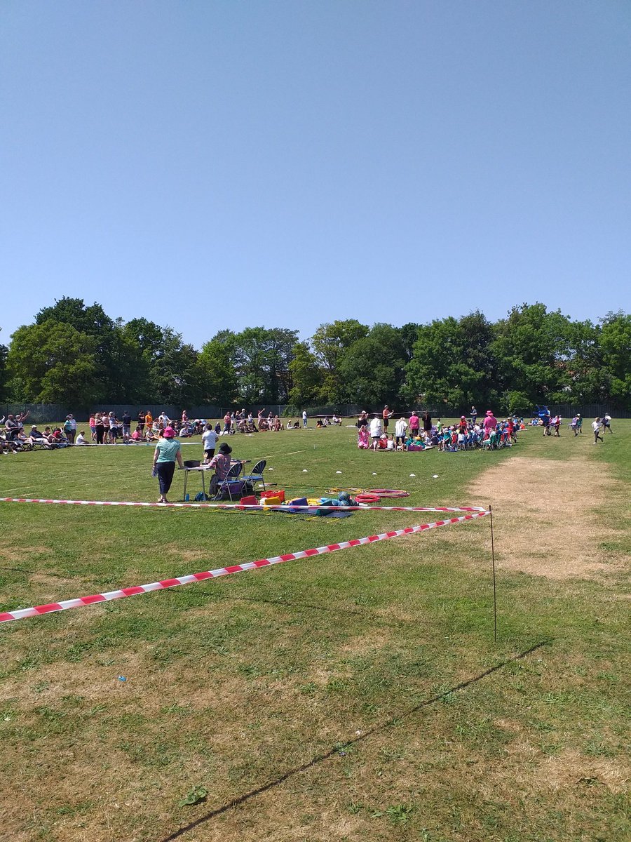 Bysing Wood Primary tweet media