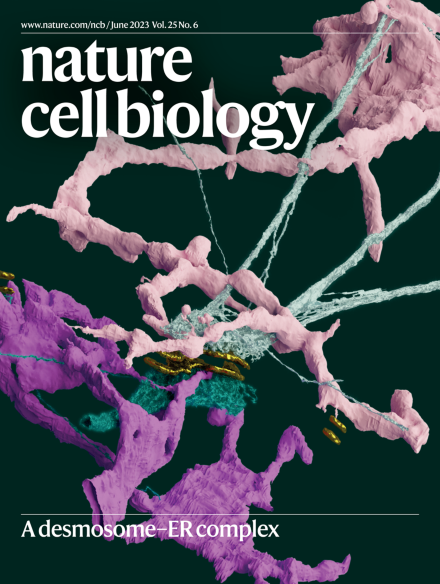 👋🏿Our June issue is live!    
On the cover: #desmosome-ER complex

Read:
👉🏾Comment on #DEI 
👉🏽Q&A with Chun-Yan Lim
👉🏻🔬on:  #hematopoiesis & #epigenetics, #cancer & #ferroptosis, #adipocyte fate, #senescence & #microbiota, human #stemcell #islet... & more
nature.com/ncb/volumes/25…