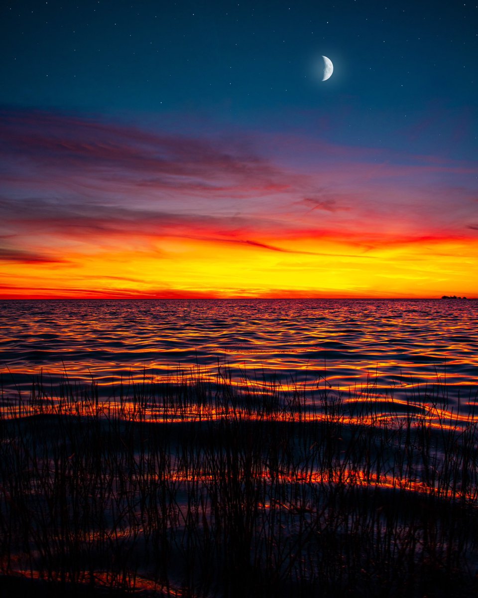 earthcurated tweet picture