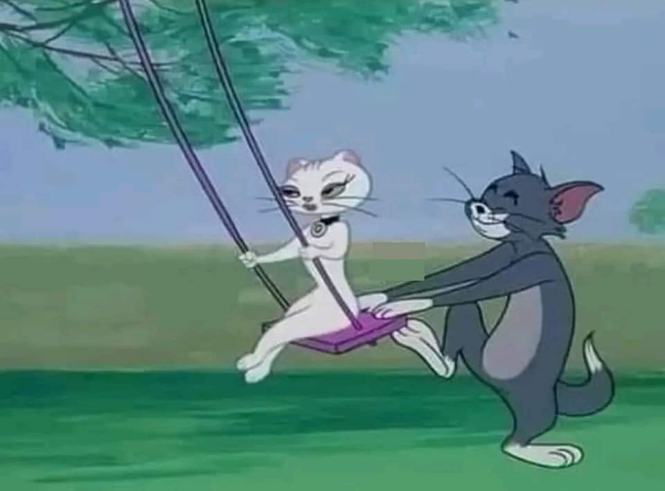 على الرغم أن " توم " كان يحبها بصدق ويقدم إليها الورود والزهور والعطور لكنها لم تحبه وكانت تذهب مع القطط الأخرى وتتركه وحدهُ يعاني لشهور وسنوات ..     

كانت براءة " توم" وطيبة قلبه خطيئته الكُبرى على الرغم من صدق عواطفه ومشاعره ولطف معاملته لم تبادله العواطف .. 

إشترى لها