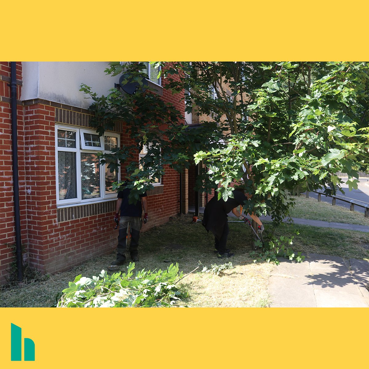 HS_Homes's tweet photo. Last week's Summer Shine Squad extra shine at Brockton Court was a great success, with local councillors getting involved too.
Later today we're going to be going to Lockwood Court. We look forward to seeing you there!
#maidenhead #RBWM #community #ourHS https://t.co/IKgRQTEpZm