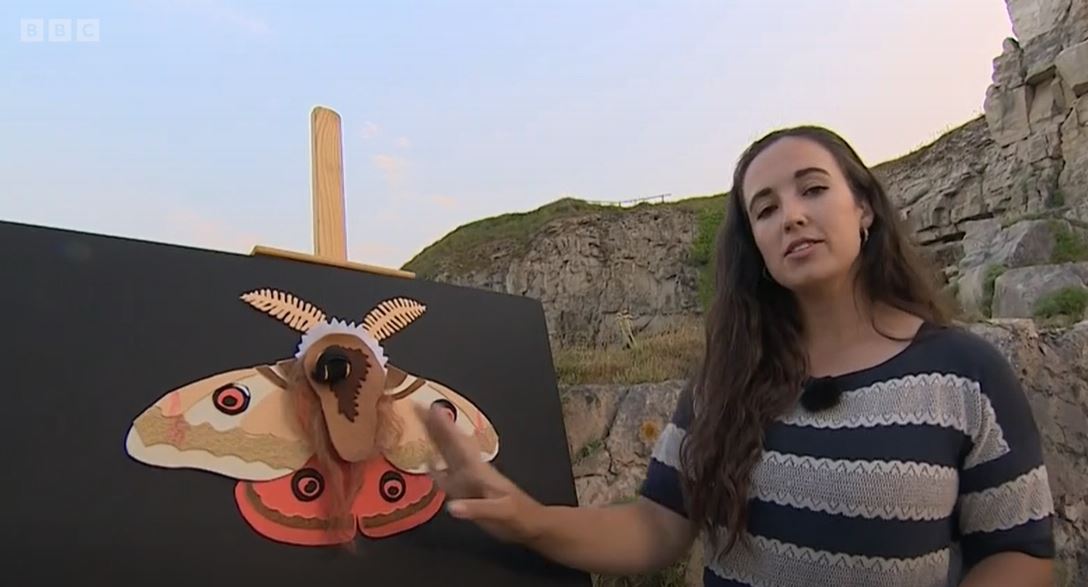 Our very own Marc Holdereid's ground-breaking research on the acoustic properties of moth wings was discussed on <a href="/BBCSpringwatch/">BBC Springwatch</a> last night by Presenter <a href="/MeganMcCubbin/">Megan McCubbin</a> 🙌
 
Tune in from 35 mins to hear about its huge potential!

👉 fal.cn/3z5cd

<a href="/BASElabBristol/">Holderied's BASElab</a>