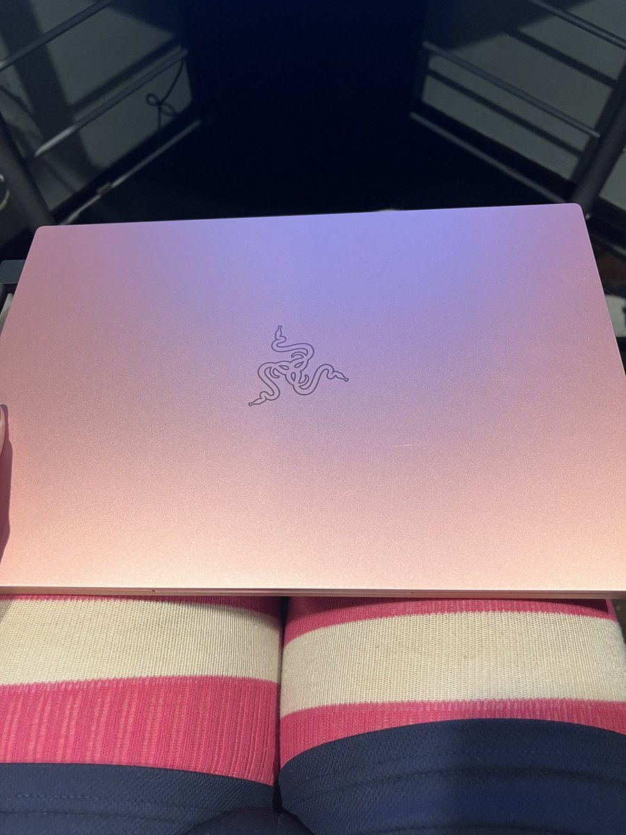 NeonJavaPythonA's tweet image. We gaming now boys~