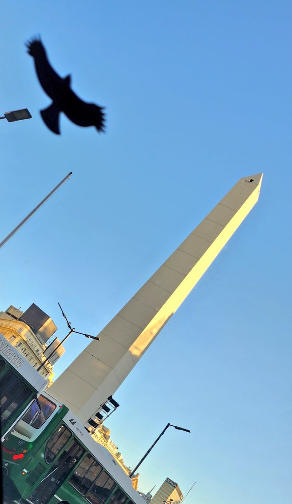 #FotoYa #Obelisco #TaylorHawkins