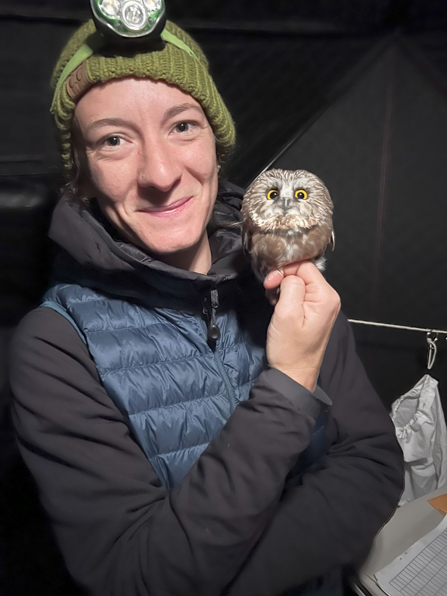 Join us on Thursday, June 29, for our 2023 Levad Memorial Fund special virtual presentation about the Northern Saw-whet Owl with Scott Weidensaul and Marion Clément.

This webinar is FREE, but registration is required. Register here:

ow.ly/2yXs50OwQqf