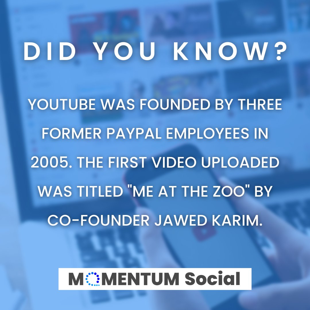 MOMENTUM Social tweet media