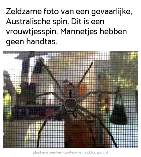 dbrplaatjes's tweet photo. We hebben nog veel meer memes! --> https://t.co/wcoGY6QuWZ
#spreuk #quote #meme #humor #grappig #leuk #spin #gevaarlijk #man #vrouw #mannen #vrouwen #handtas #fashion #australisch #Australië https://t.co/6j24WYe880