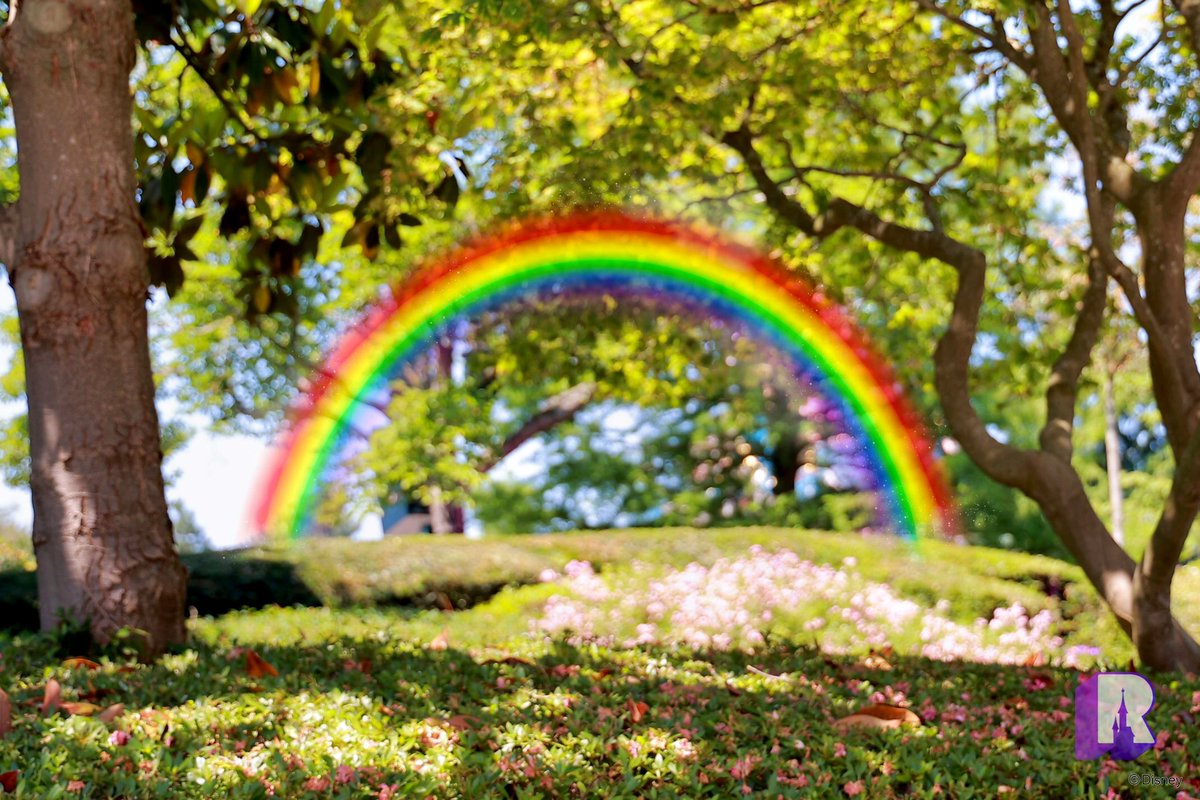 🌈 The rainbow MagicShot has returned to Plaza Gardens for Pride Month (the effect is added above the person):