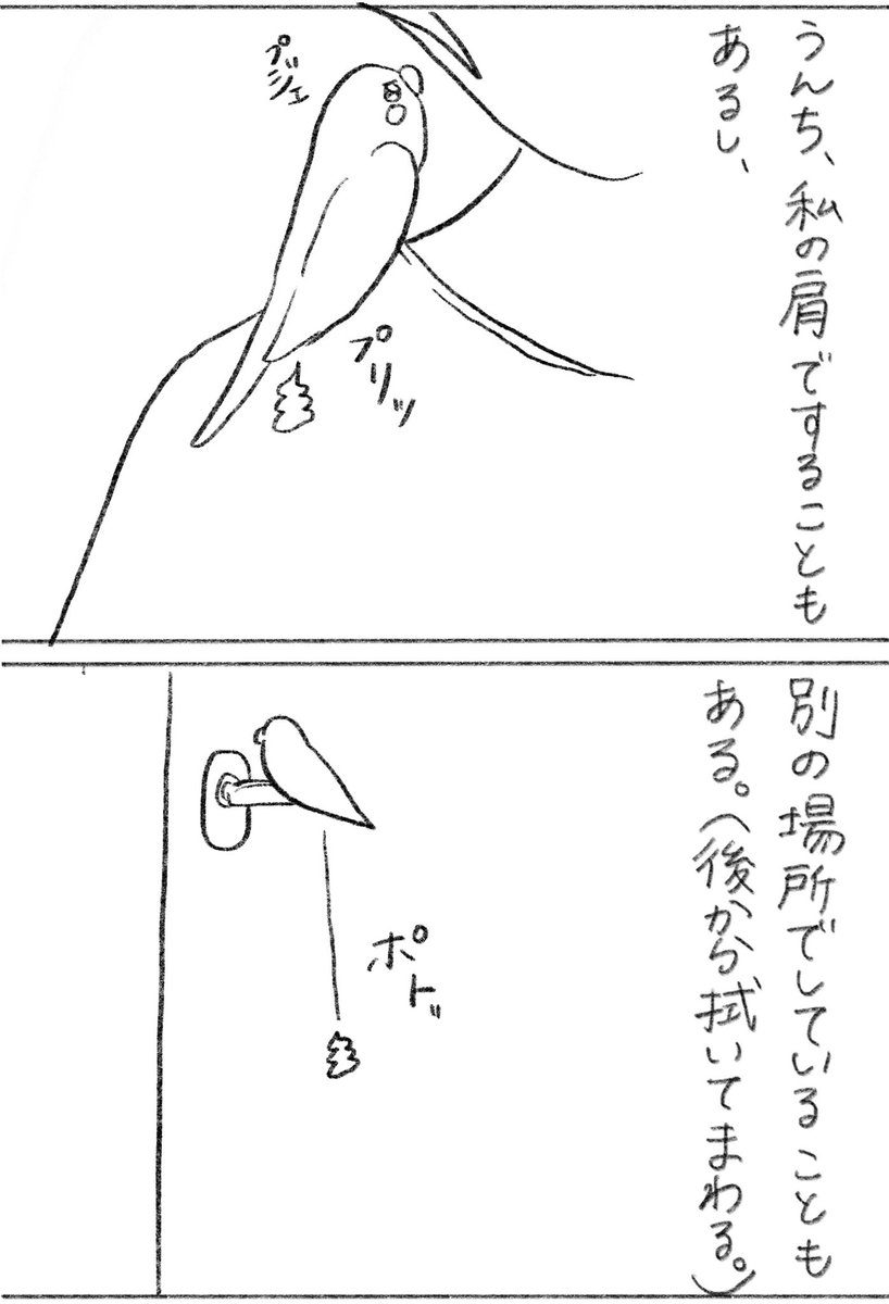 家族みんな、出かける時はうんちついてないか確認し合うの必須です。 