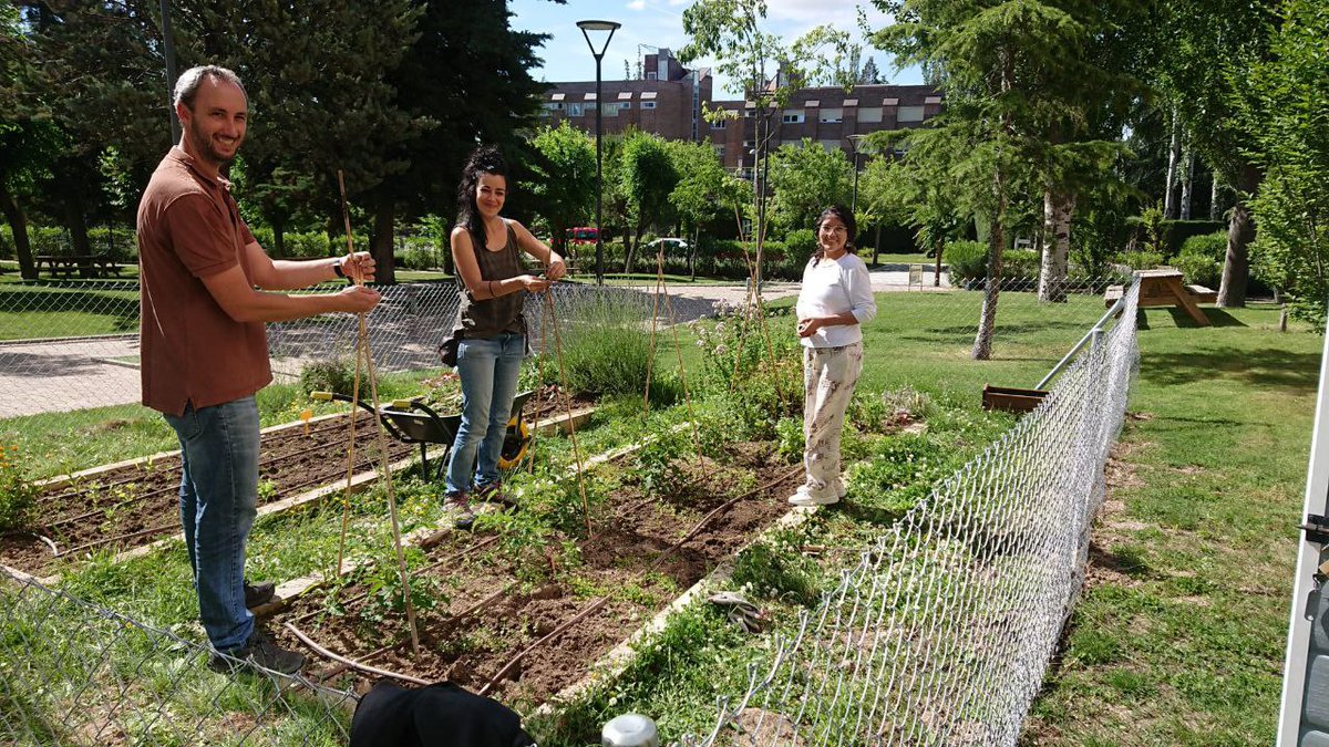 germinando_isa's tweet photo. Poniendo a punto el #huertoecodidáctico de #Cantoblanco con @Comillas_Eco en el que intercambiamos experiencias de #sostenibilidad dentro de la comunidad universitaria.
Poda y entutorado de tomateras 🍅🍅, además de plantación de lechugas y albahaca a su sombra 😉 https://t.co/45dDJTFRYF