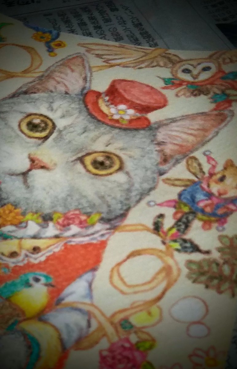 原画】『奏でる音色の行方』(猫 絵画 パステル画) | cranio-gindl.at