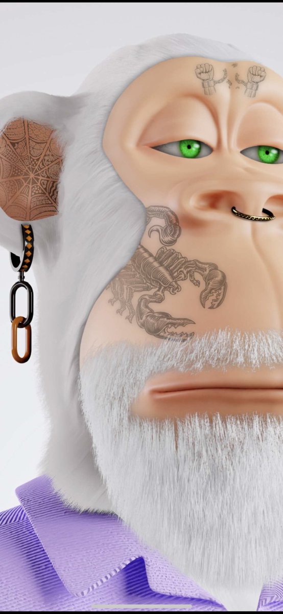 Elon Mosque $FLR tweet media