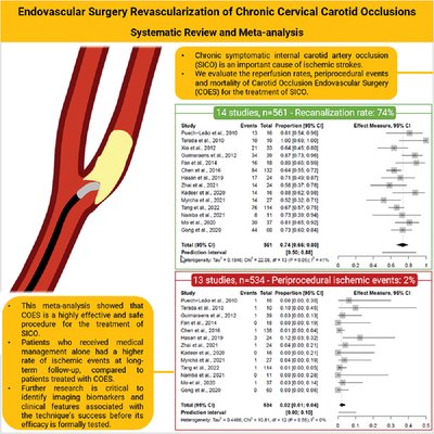 New Systematic Review and Meta‐Analysis about Carotid Occlusion Endovascular Surgery (COES) for Revascularization of Chronic Cervical Carotid Occlusions with positive data supporting it, RCT needed ahajournals.org/doi/10.1161/SV… 
<a href="/SVINJournal/">Stroke: Vascular and Interventional Neurology</a> <a href="/WorldStrokeOrg/">World Stroke Org</a> #FutureStrokeLeaders