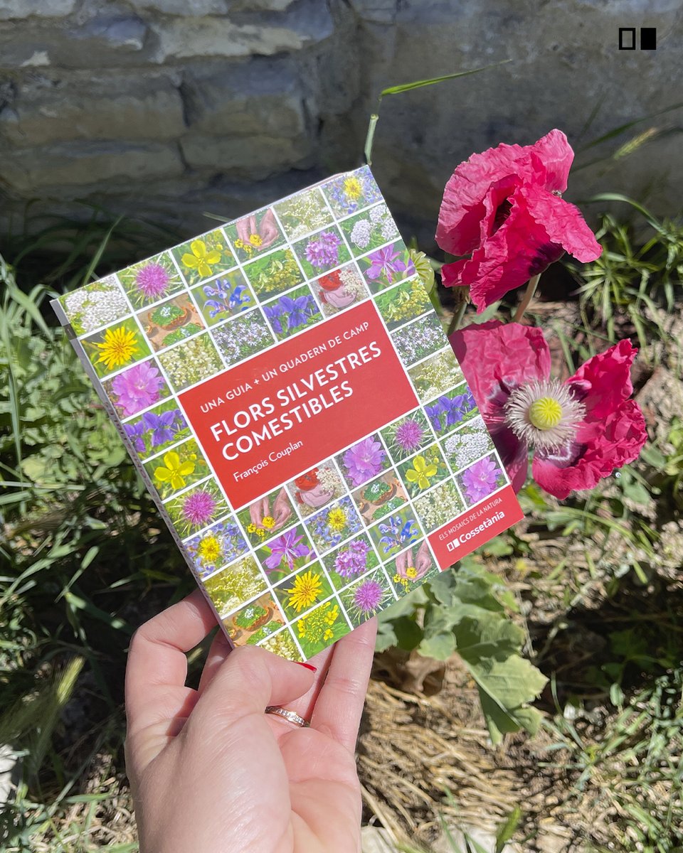 Cossetania's tweet photo. 🌻🌷😍Una guia i un quadern de camp per identificar, conèixer, i també cuinar, les flors silvestres comestibles! #Flors #FlorsComestibles #Guia #GuiaDeCamp @AstridvanGinkel
📌https://t.co/6dEbRDghut https://t.co/UA4ox3OlPb