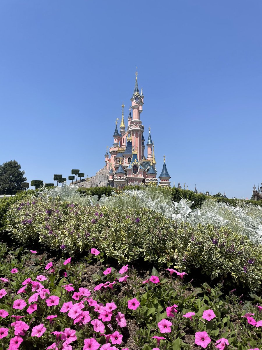 jessbakednext's tweet photo. Enjoyed a sunny trip to @DisneylandParis last week 🐭🇫🇷❤️ We can go back and do it all over again? 💫 https://t.co/QmlOo8VdnE