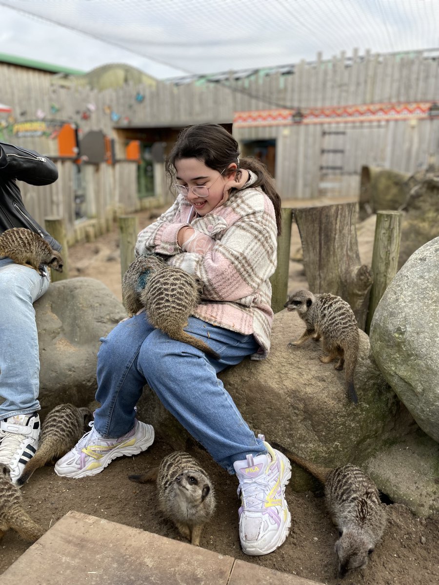 SealifeAdv's tweet photo. ✨MEET THE MEERKATS✨
Book your experience today - https://t.co/bBsWEoitAO
Our experience to sit with our family favourite mammals is available every day of the year. That includes mid-week. Annual pass holders get 20% off😍
#SealifeAdventure #AnimalExperience #Sealife https://t.co/tFgmBJmXXr