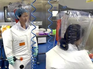 R_H_Ebright's tweet image. "[A]ccording to new reports this week three separate Chinese government officials have all named scientist Ben Hu, who was in charge of gain of function research at the Wuhan Institute of Virology, as the first human to be infected with the new disease."

dailytelegraph.com.au/news/national/…