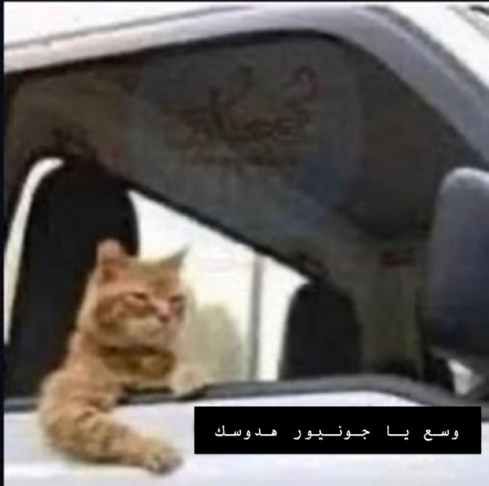 محمد tweet media