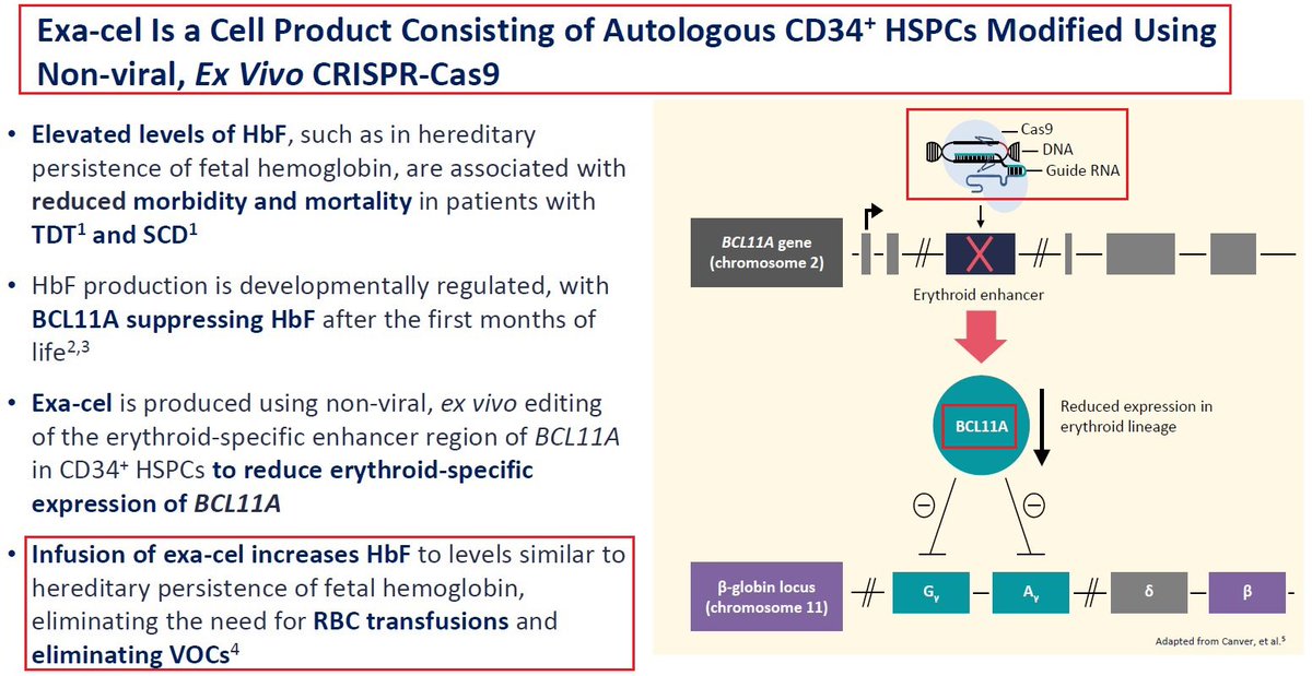 1/@CRISPRTX & @VertexPharma announced that both trials for $CRSP & $VRTX exa-cel (CTX-001) in patients with #BetaThalassemia #TDT or severe #SickleCell disease #SCD have met primary & key secondary endpoints at pre-specified interim analyses! #CRISPR #BioTech #Genomics #EHA2023