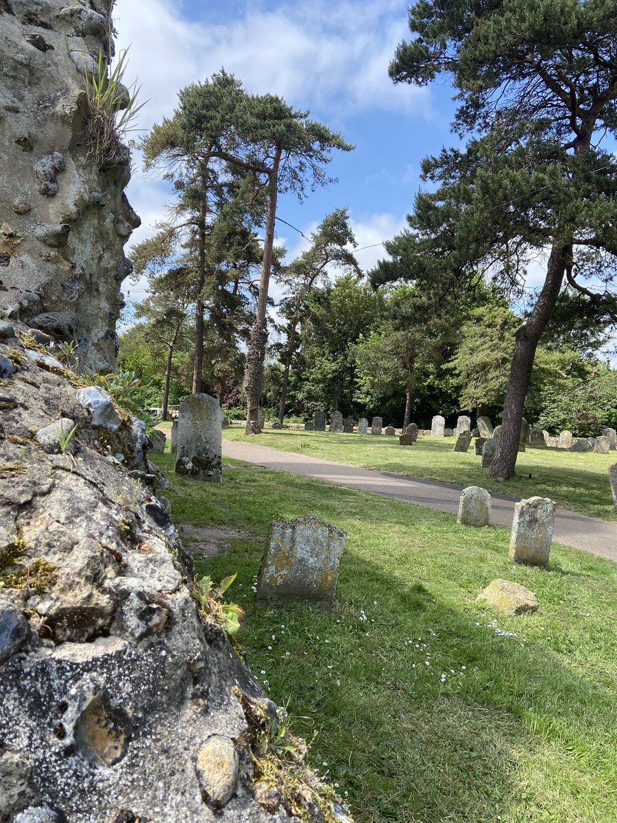 Volunteering at #WymondhamAbbey today, and still marvel at how beautiful it is particularly when the sun is shining😎 Come visit, lots to see plus a fab little gift shop selling locally sourced/made gifts
#loveWymondham #FabLittleMarketTownNorfolk
 #VisitWymondham