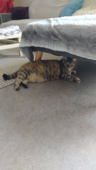 @MinaYia_ https://t.co/10buI0BnLu<a class="tags" target="_blank" title="On Twitter" href="/?out=eyJ0eXAiOiJKV1QiLCJhbGciOiJIUzUxMiJ9.eyJpYXQiOjE3MjY3OTEyMzcsImlzcyI6InR3cG9ybnN0YXJzLmNvbSIsIm5iZiI6MTcyNjc5MTIzNywiZXhwIjoxNzU4MzI3MjM3LCJyZWRpcmVjdF91cmwiOiJodHRwczovL3R3aXR0ZXIuY29tL01pbmFZaWFfIn0.FVH019smcj61qWzMe7WKupmtBrmssA2mbCwIASt1-mtw7wC3KiXD9K7M0BupzoKBBtP8AIB_FWypJicq-NajzQ">@MinaYia_</a><a href="/tag/steam"class="tags"><span>#steam</span></a><a href="/tag/csgo"class="tags"><span>#csgo</span></a>