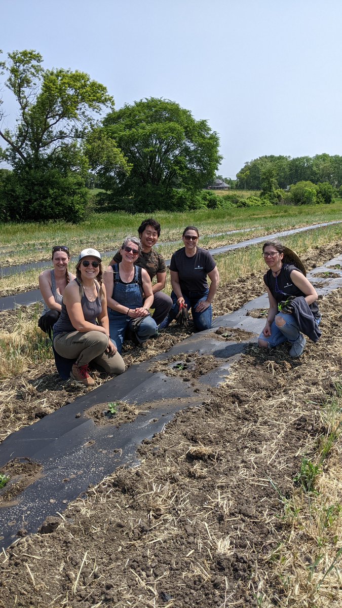 northwoods's tweet photo. We had a great time volunteering at the #HungerTaskForceFarm last week, transplanting 7,680 pepper &amp; 700 watermelon seedlings. Thanks to everyone who participated and to @hungertaskforce for all the amazing work they do! #community https://t.co/fKQ5GE7K3s