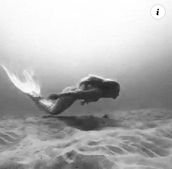 drymonallisa's tweet image. Quem quiser chegar à nascente, 
tem que nadar contra a correnteza.

Provérbio Chinês